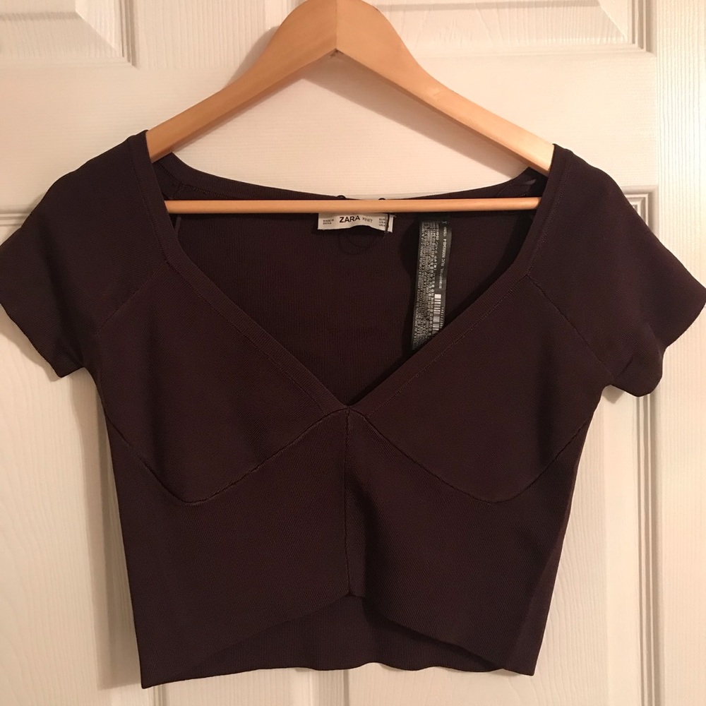 Zara Deep Plum V-Neck Cropped Top